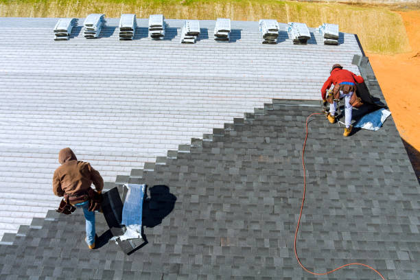 Best Roof Gutter Cleaning  in Rustburg, VA